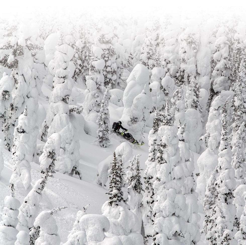 snowmobile rider through snowy trees