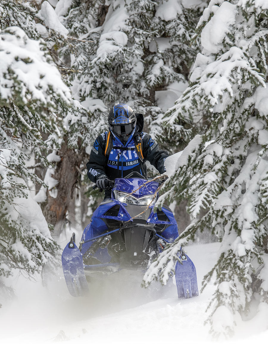 Royal blue Yamaha snowmobile pushing between a forest on snow-covered pines